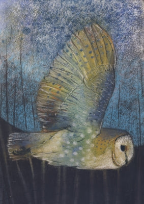 Fliegende Schleiereule