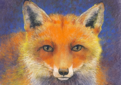 Fuchs