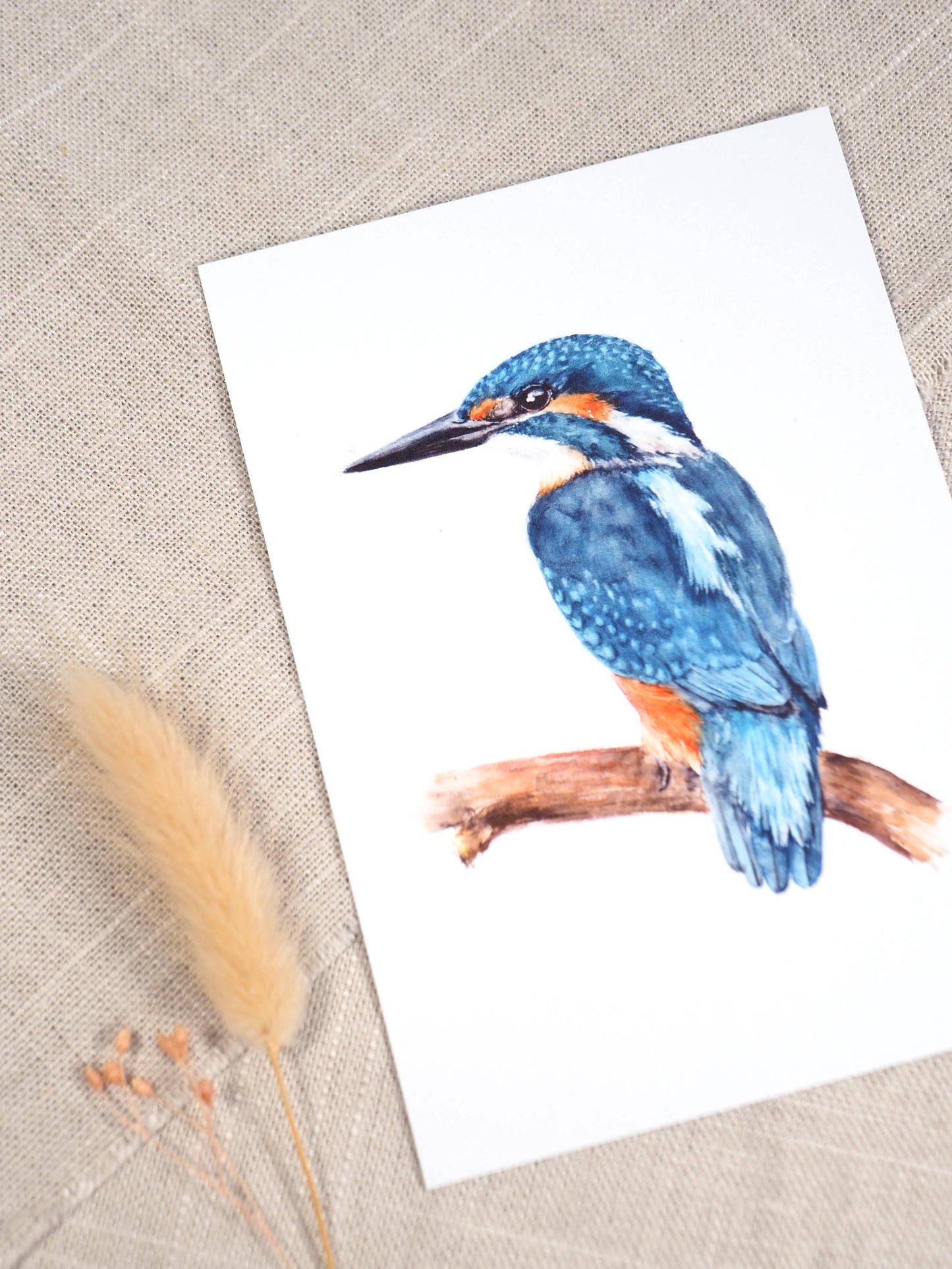 Eisvogel A6