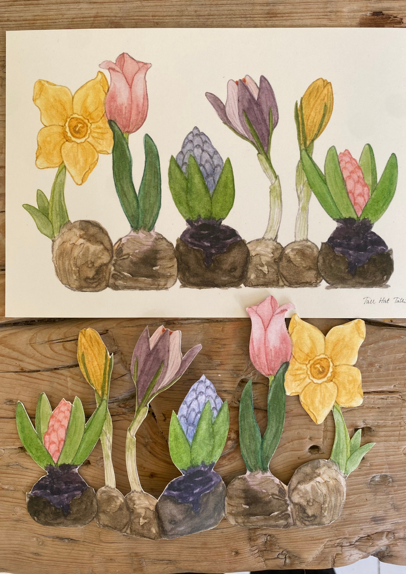 Bastelbogen - Hyazinthen