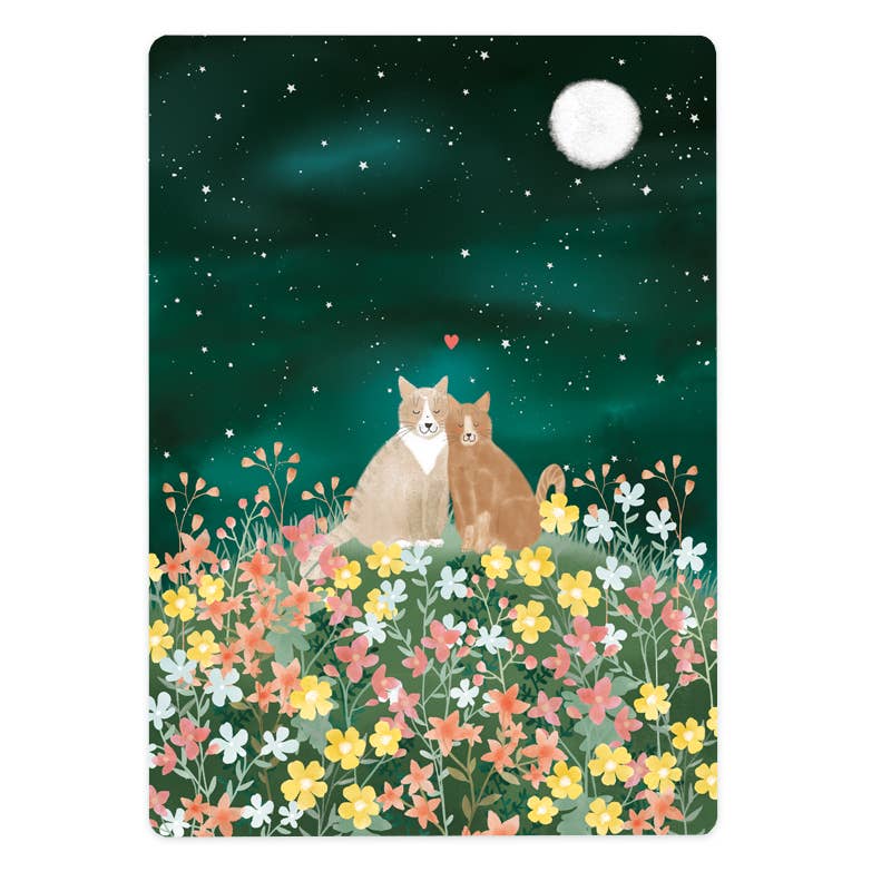 Zwei verliebte Katzen