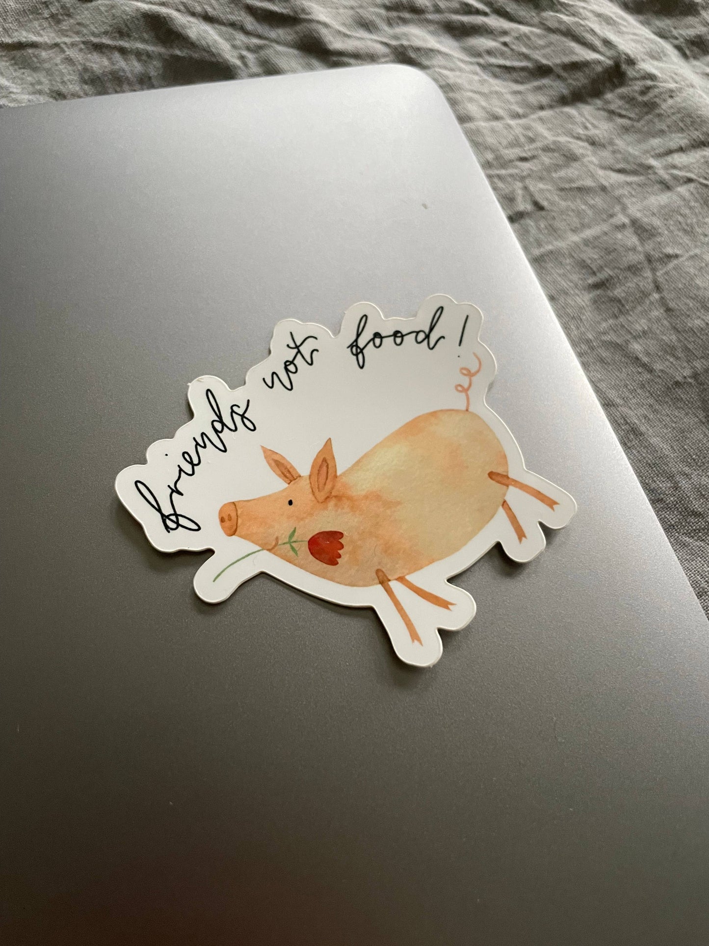 Sticker – Friends not food!