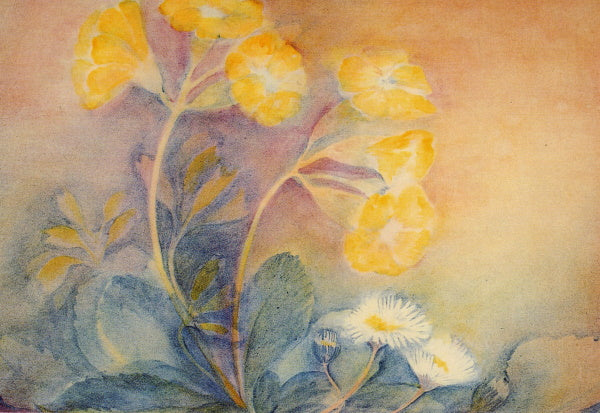 Das Gänseblümchen und die Schlüsselblume