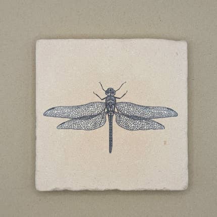 Fliese - Libelle