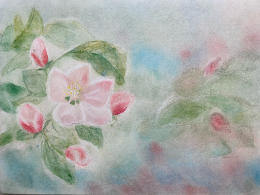 Apfelblüten