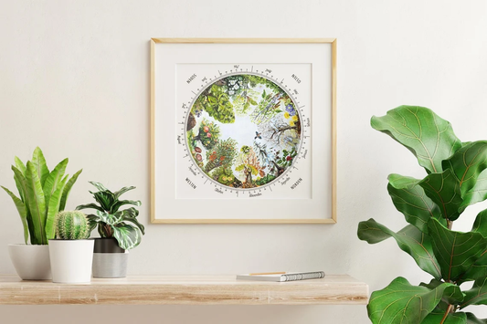 Der Baumkalender - Jahreskreis des Waldes