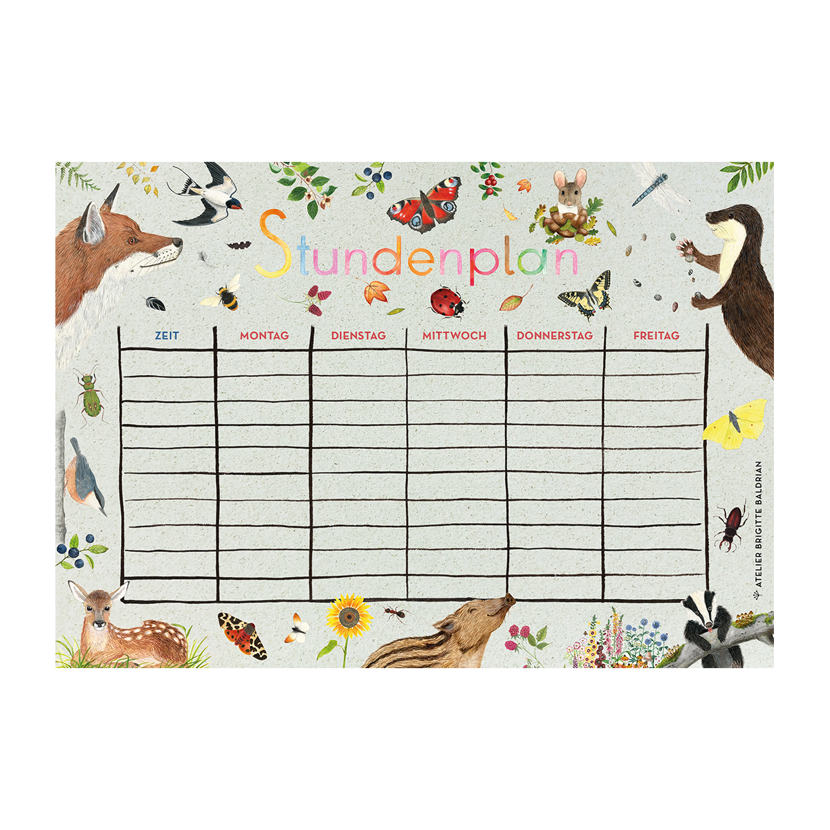 Stundenplan „kunterbunt“