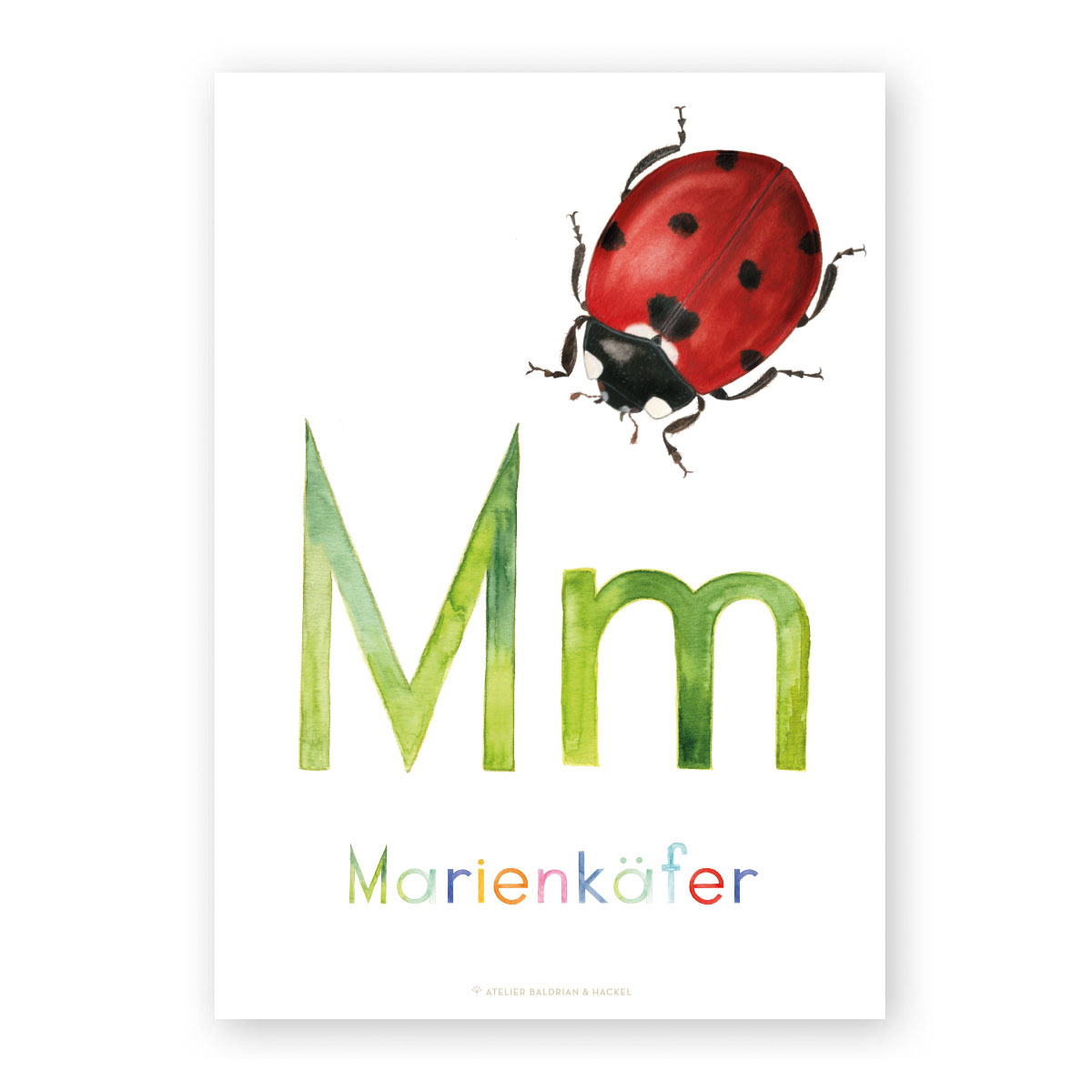 ABC-Karten Set „Natur“