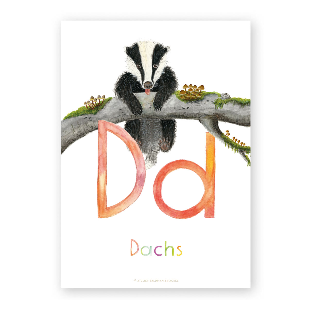 ABC-Karten Set „Natur“