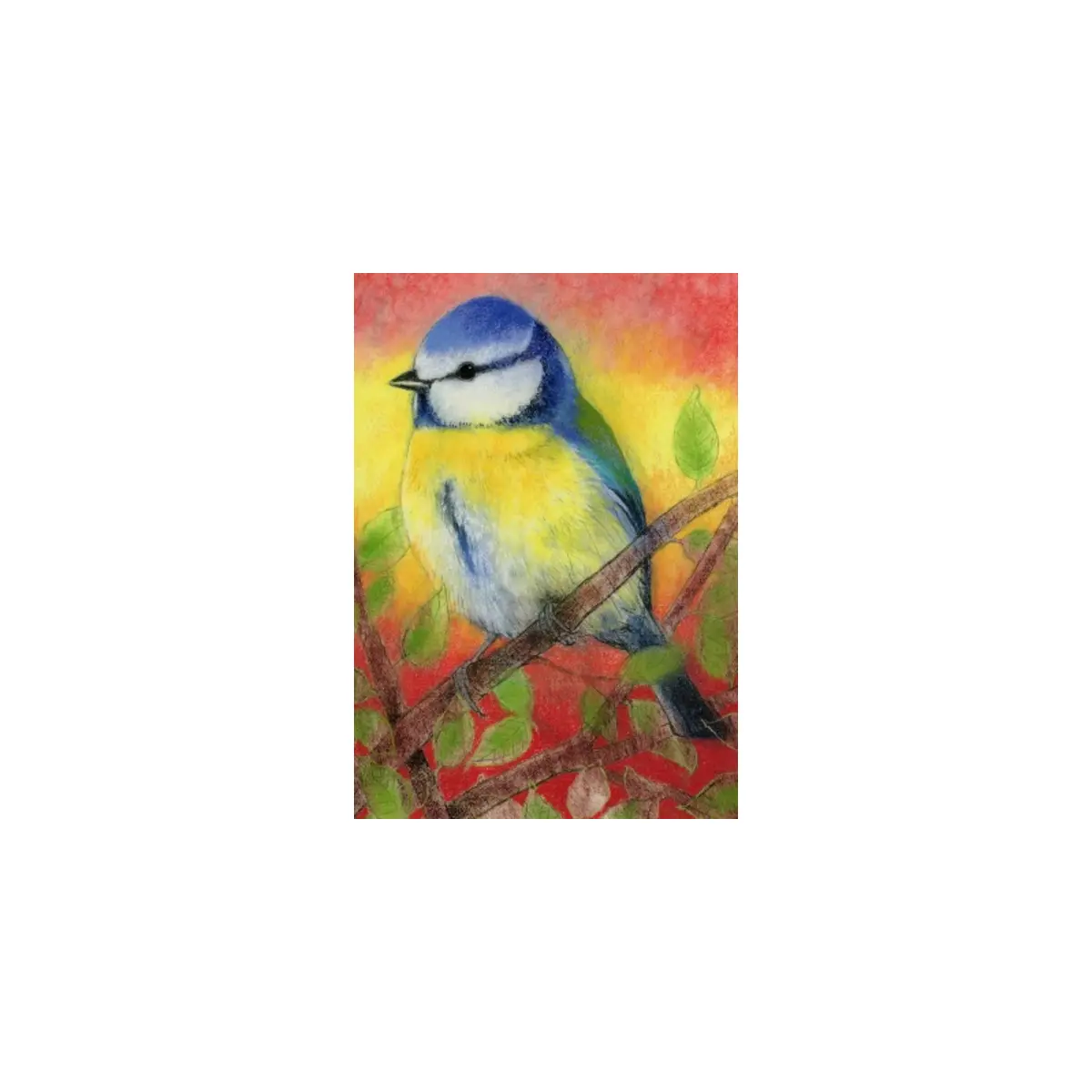 Blaumeise