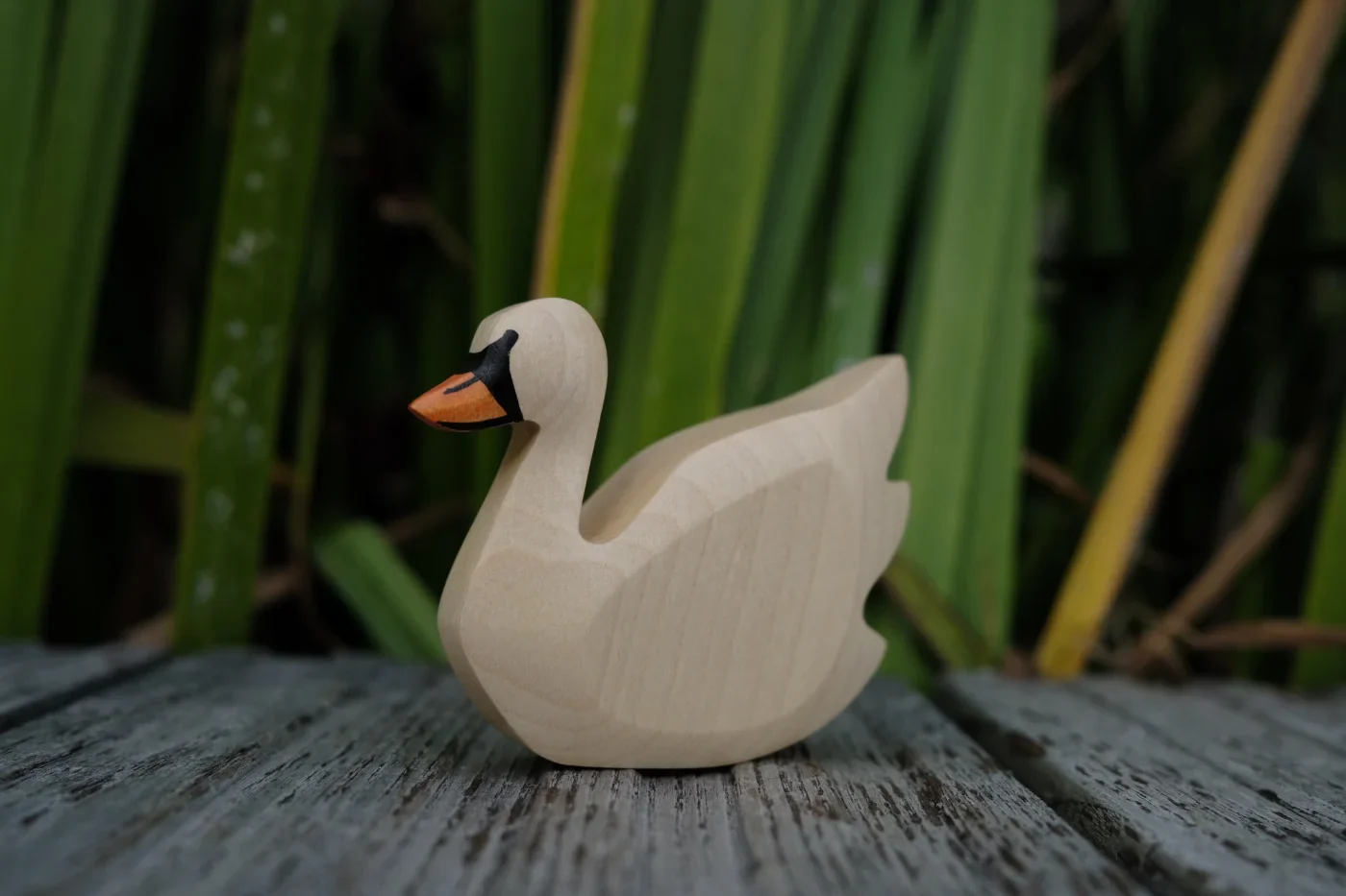 Holzwald Schwan