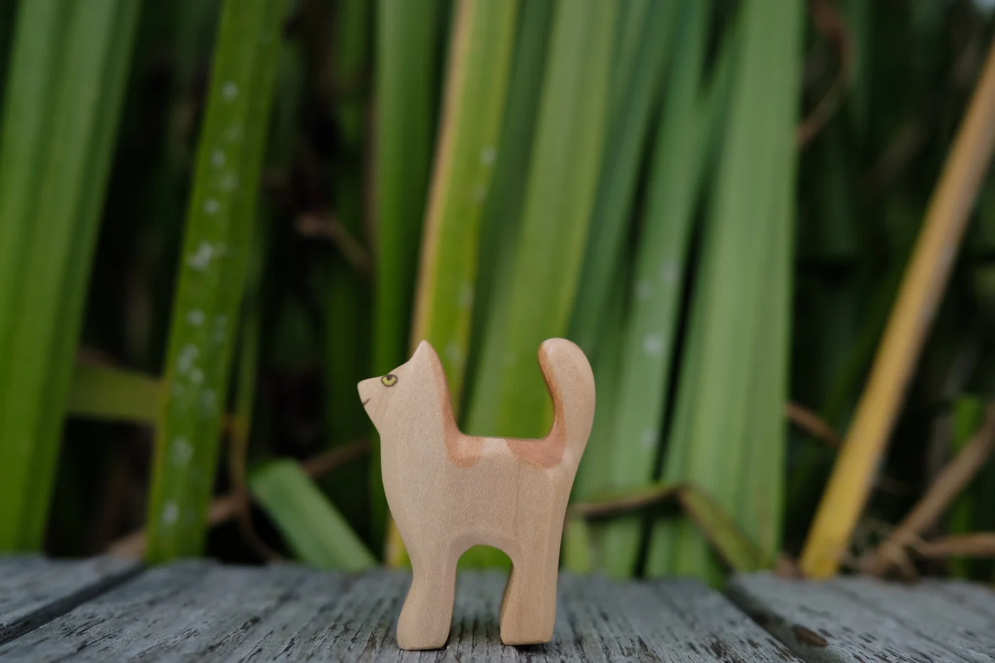 Holzwald Katze klein