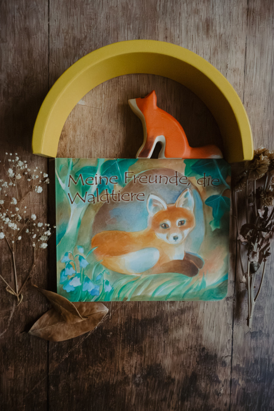 Meine Freunde, die Waldtiere