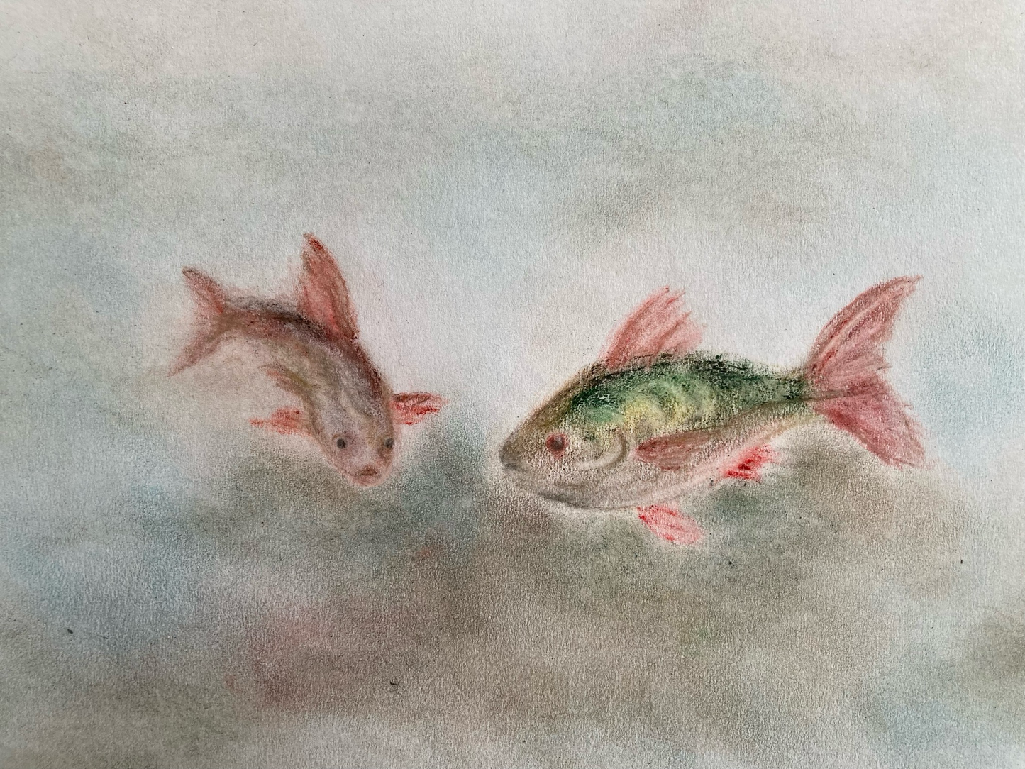 Fische