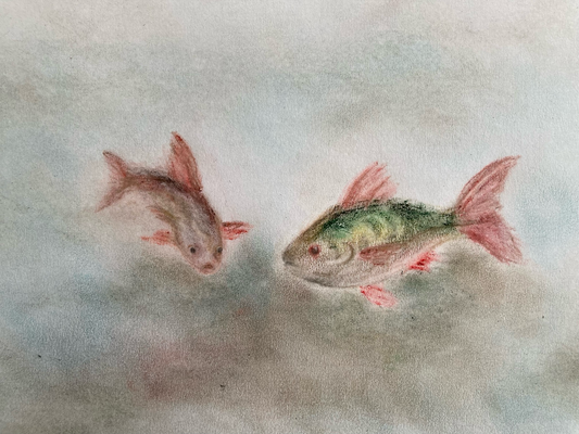 Fische