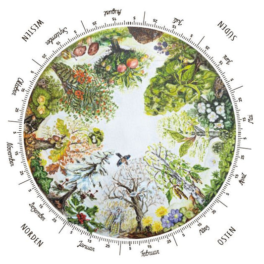Jahreskreis des Waldes