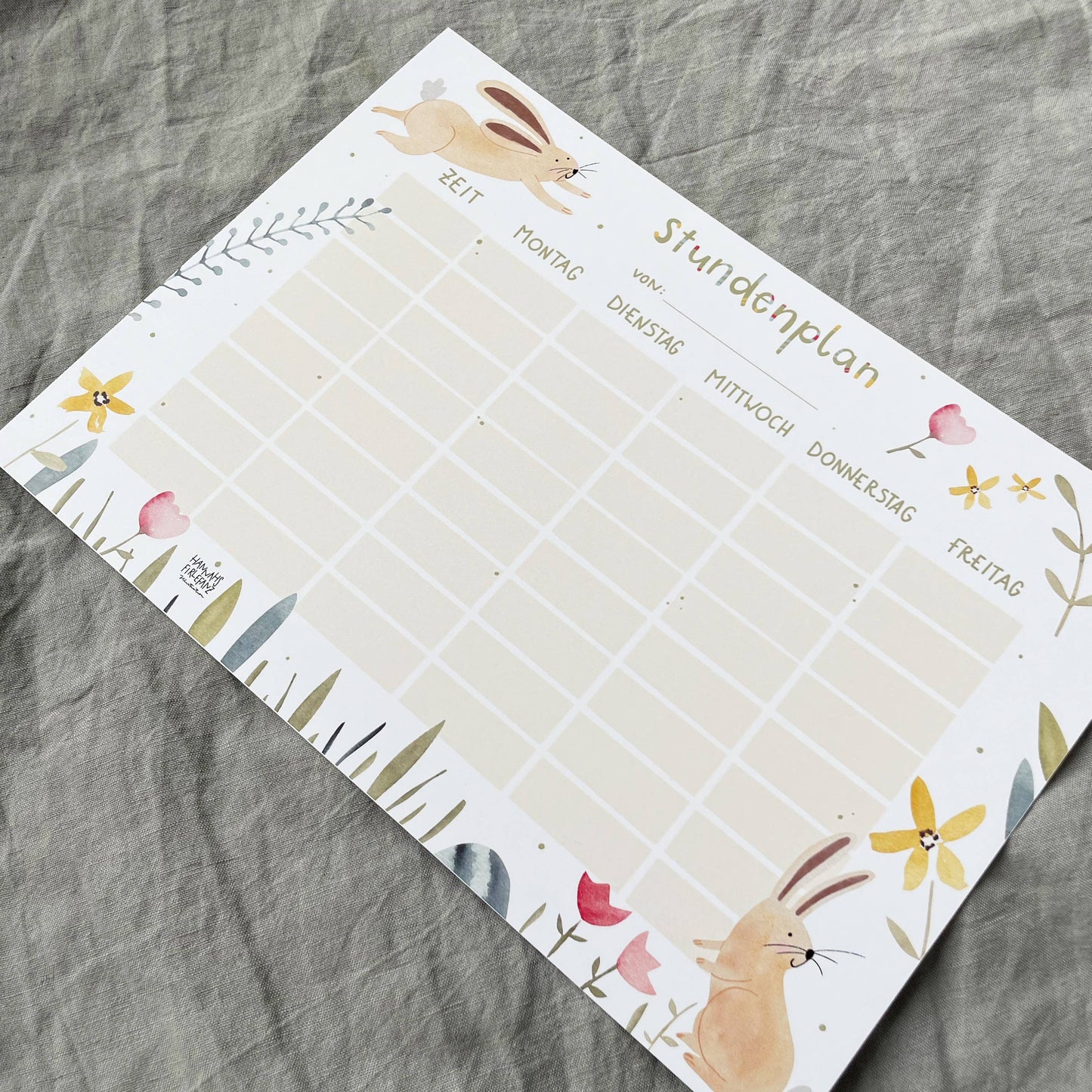 Stundenplan - Hase