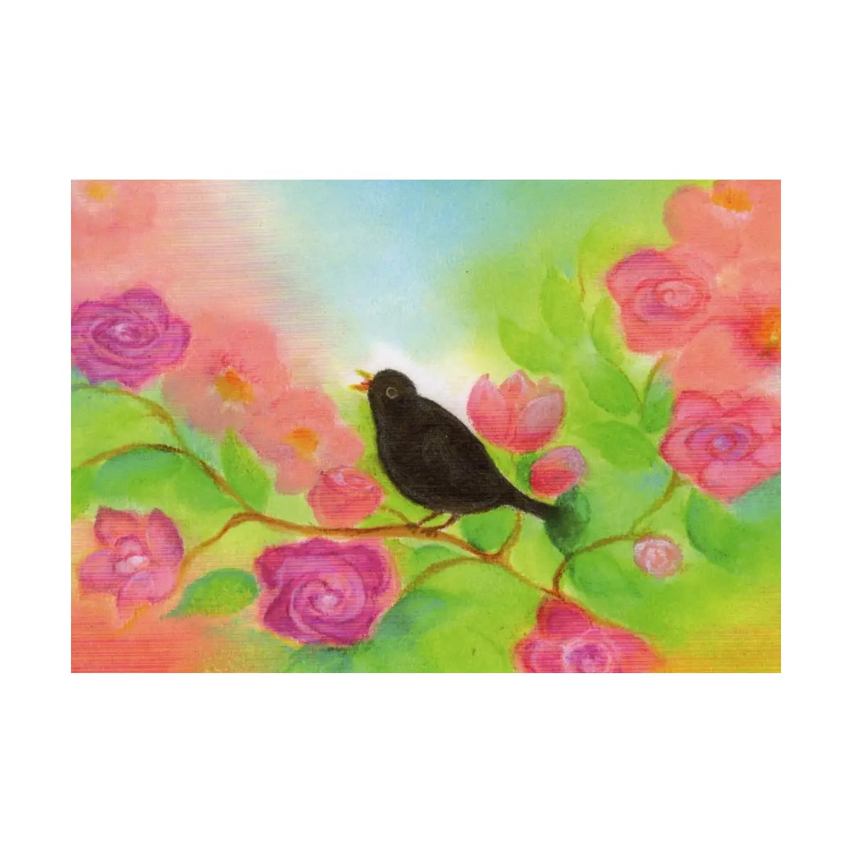 Amsel