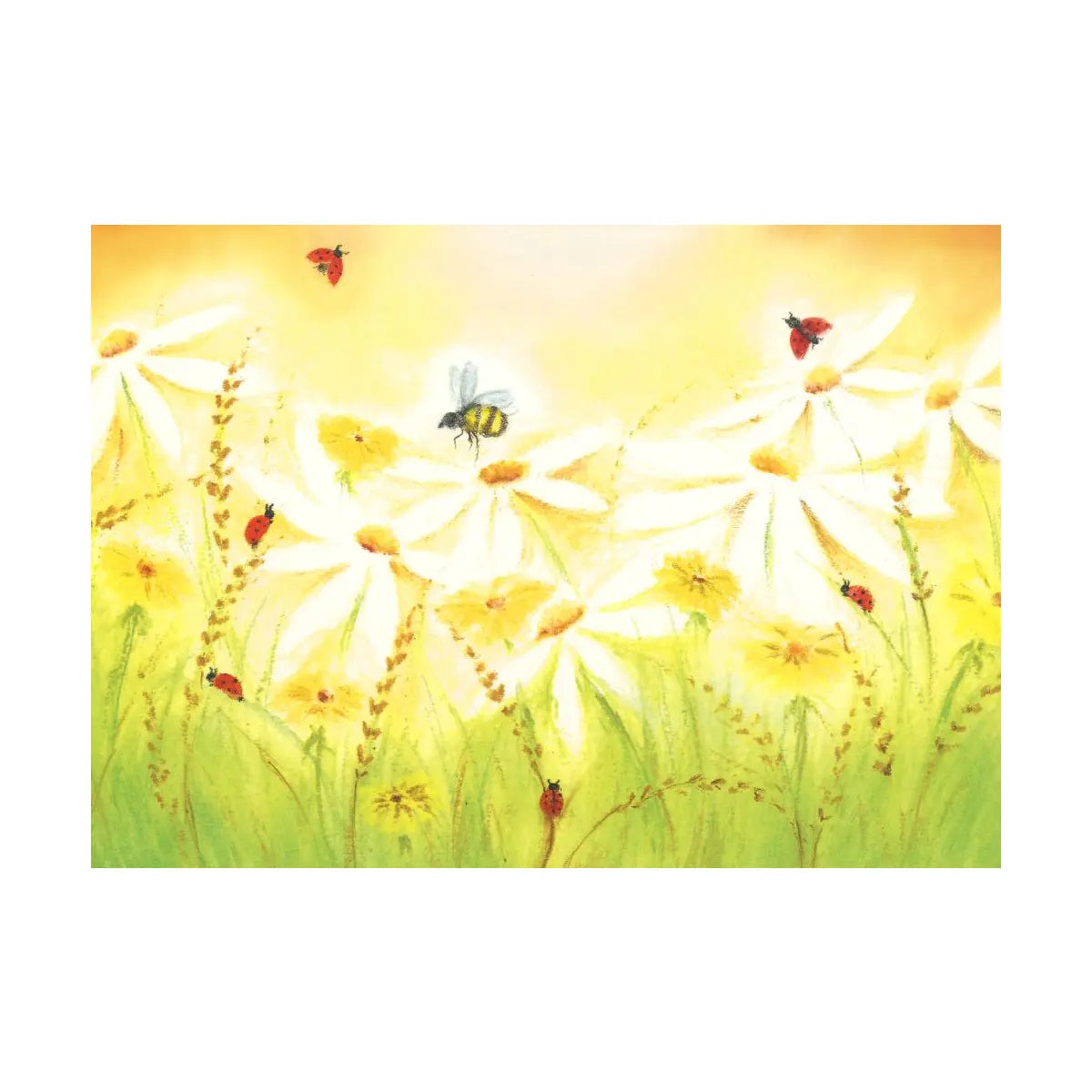 Sommerwiese