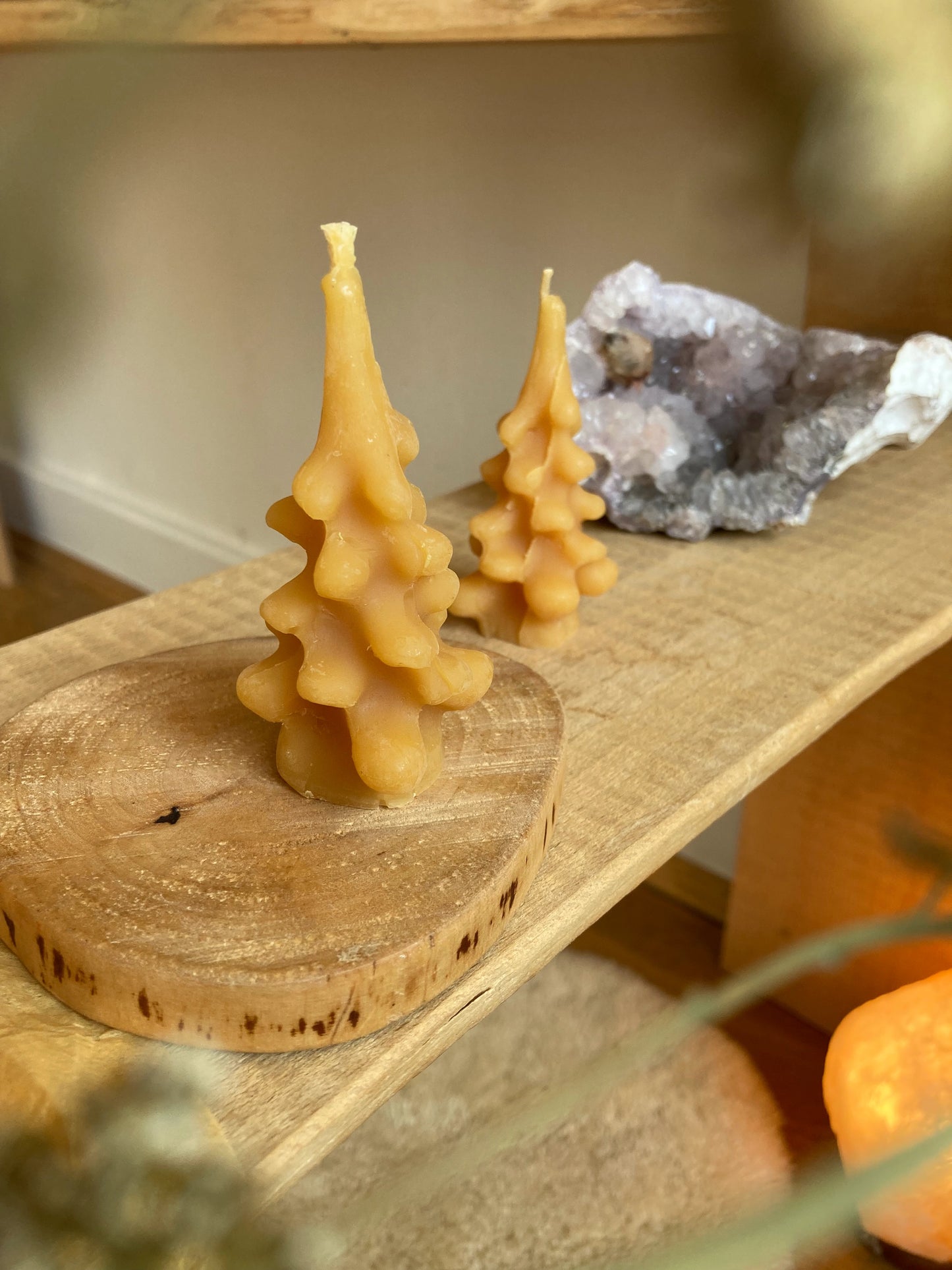 Tanne aus Bienenwachs