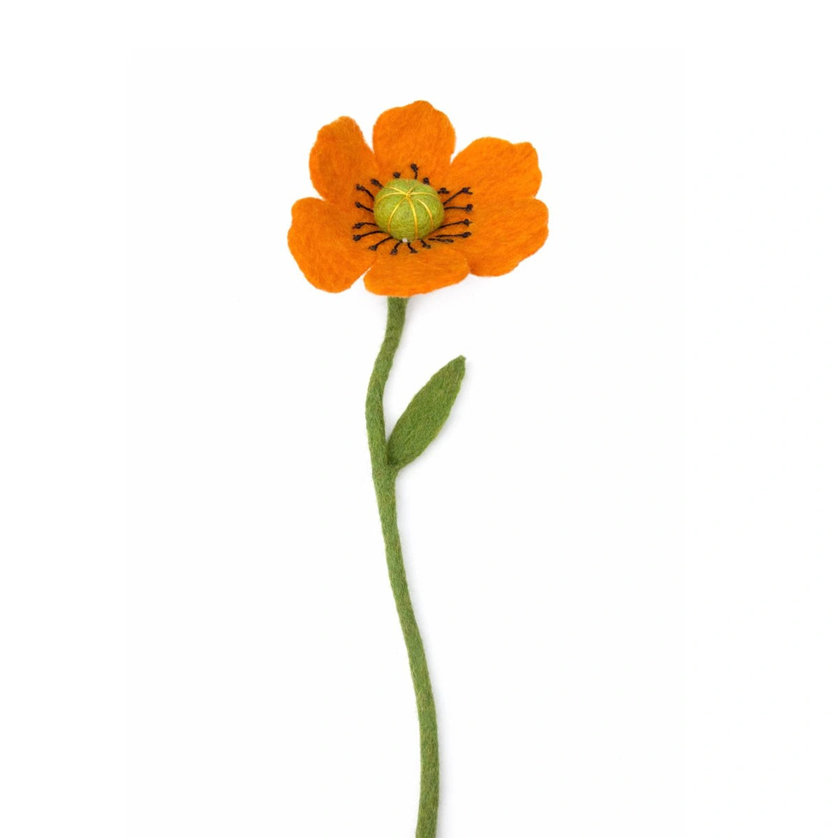 Mohnblume - orange