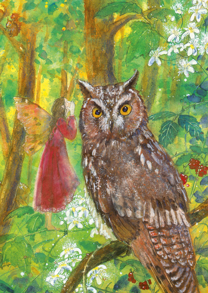 Postkarte Elfe und Eule von Daniela Drescher A6, Elfe im roten Kleid neben einer Eule auf einem Ast im grünen Frühlingswald mit weißen Blüten