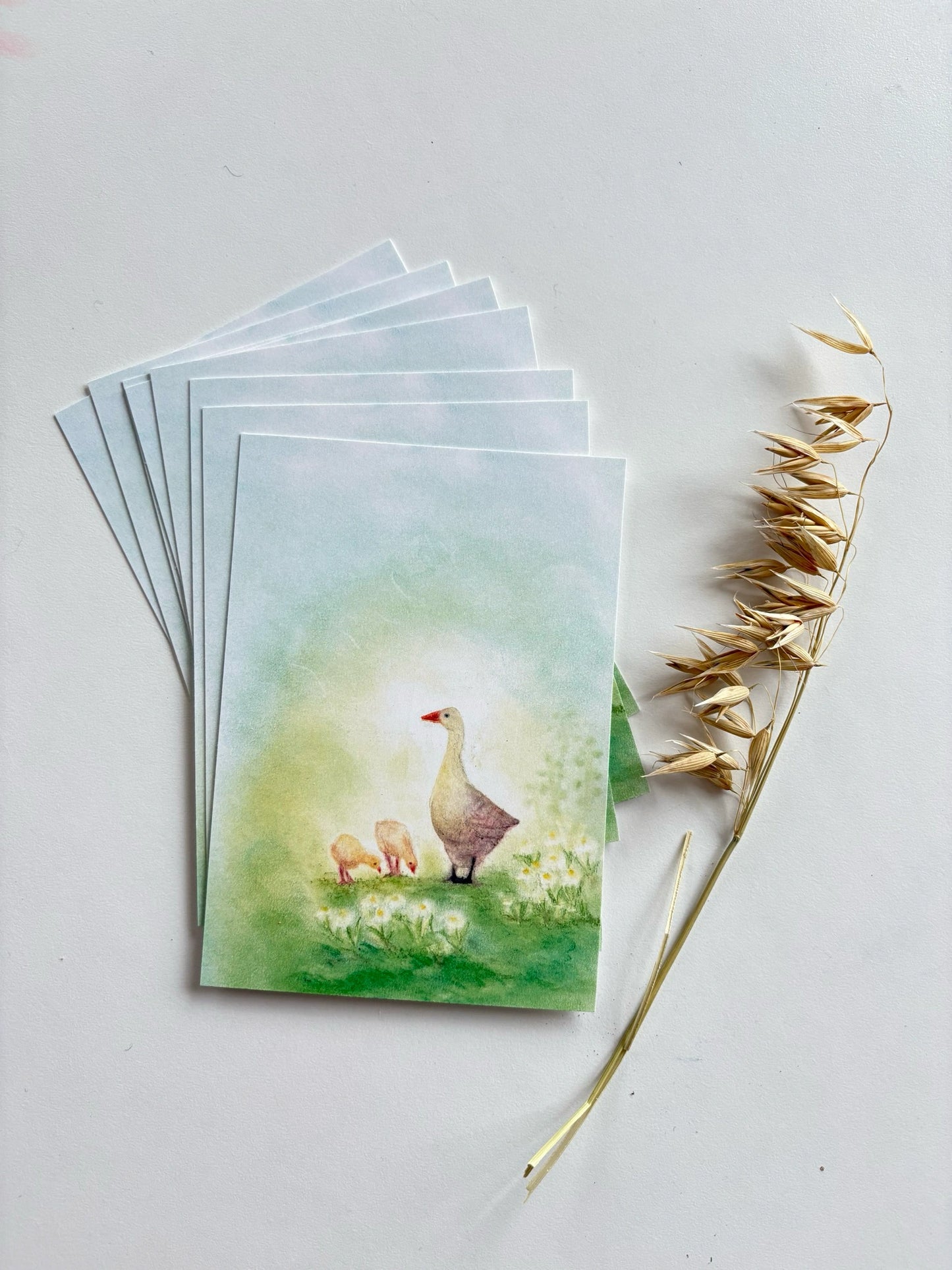 Gänse