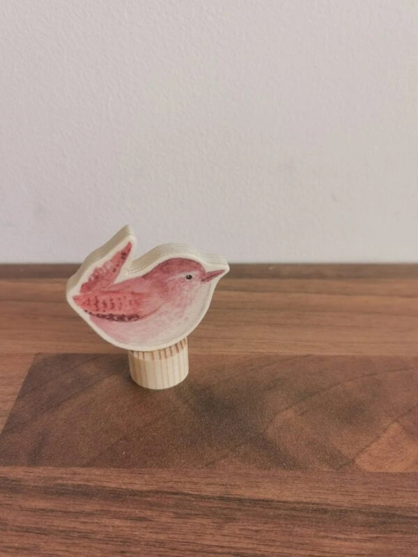 Stecker - Zaunkönig