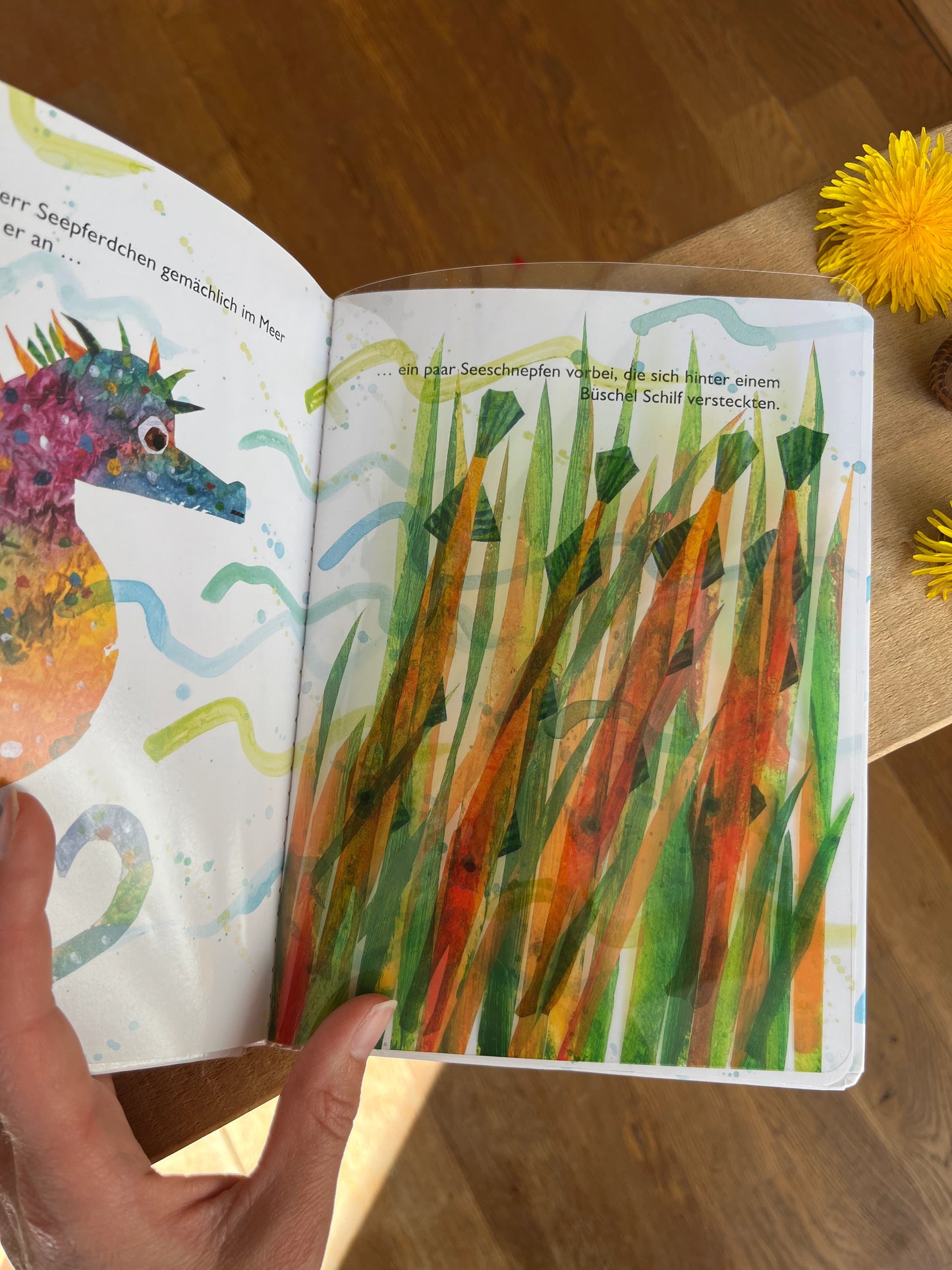 Herr Seepferdchen mit Folienseiten - Eric Carle