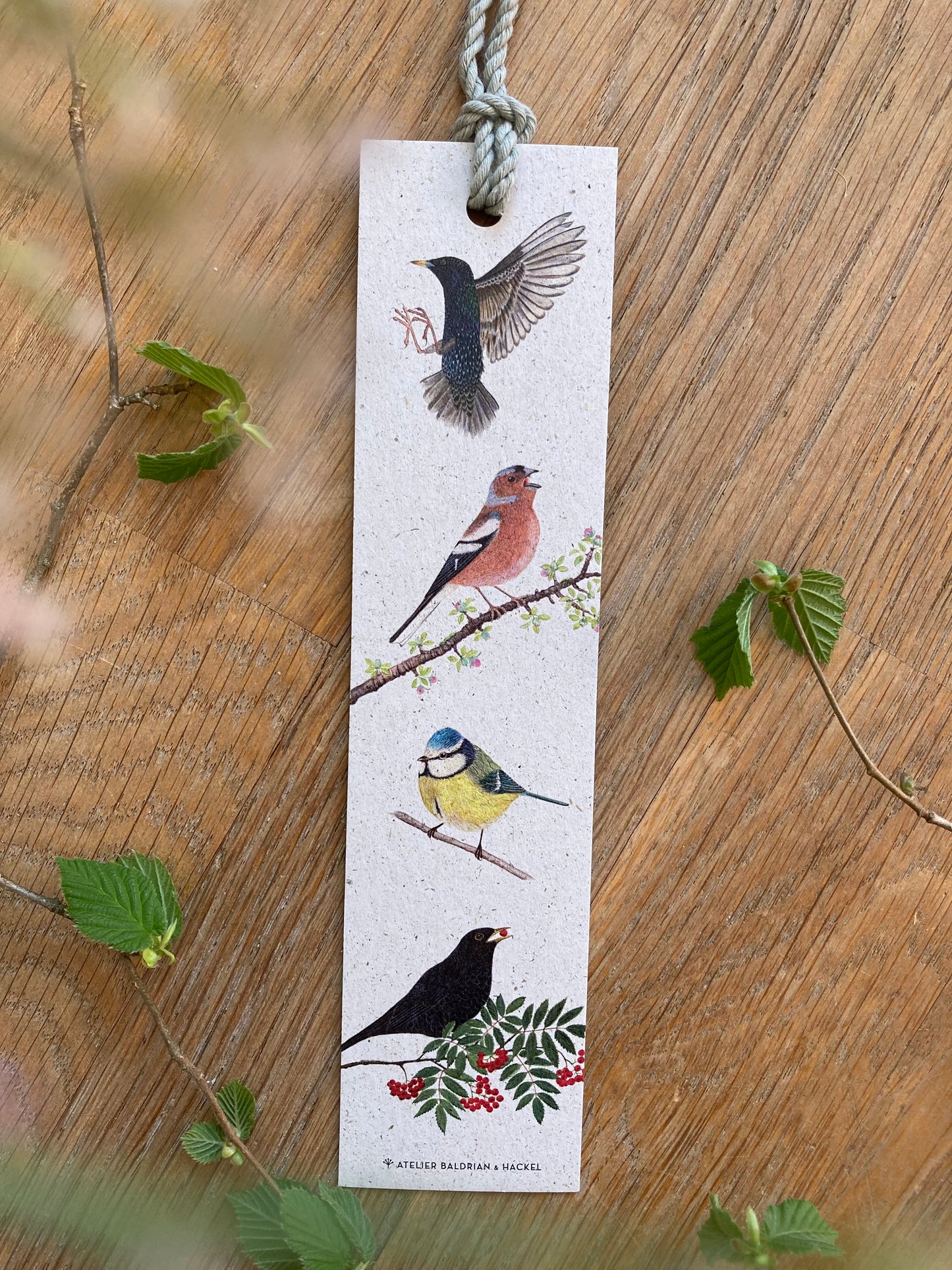 Lesezeichen „Vögel”