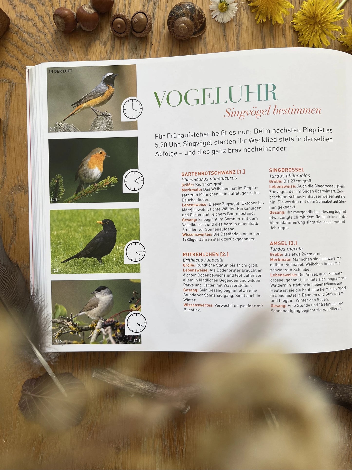 Natur & Kinder: Die besten Ideen für kleine und große Naturentdecker 2. Hand