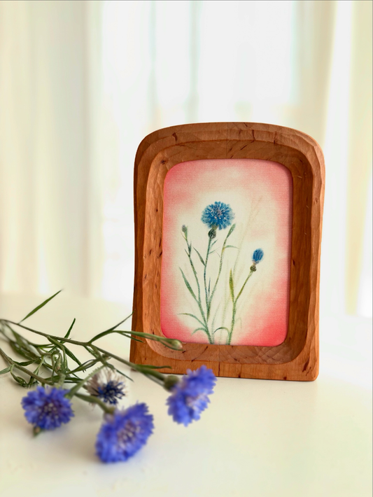 Kornblume