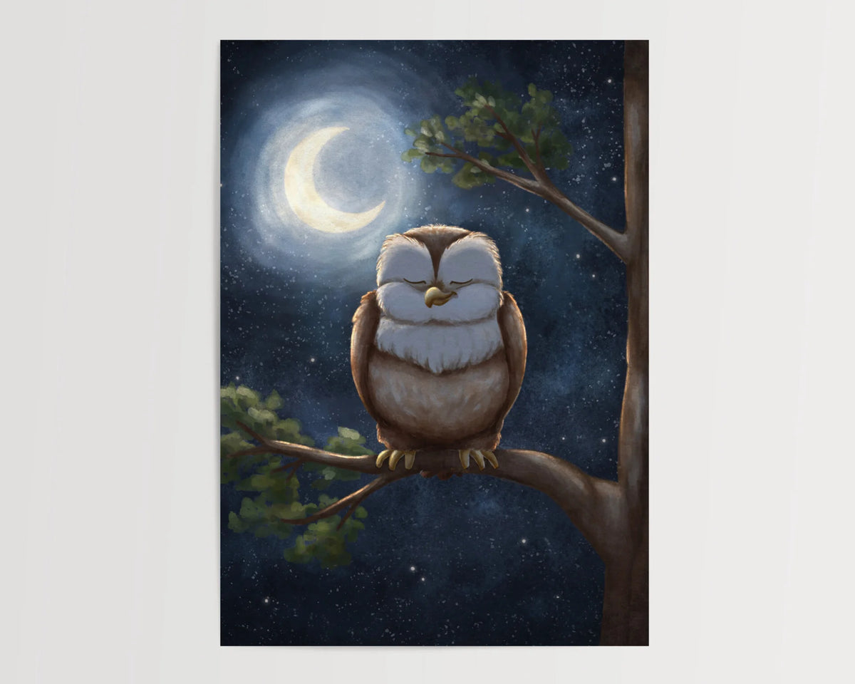 Eule Nacht