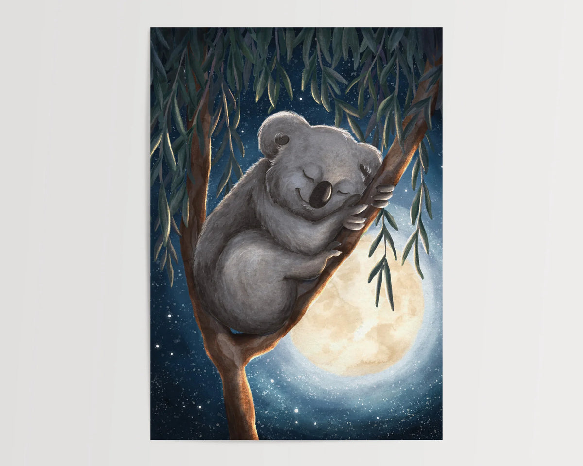 Koala Nacht