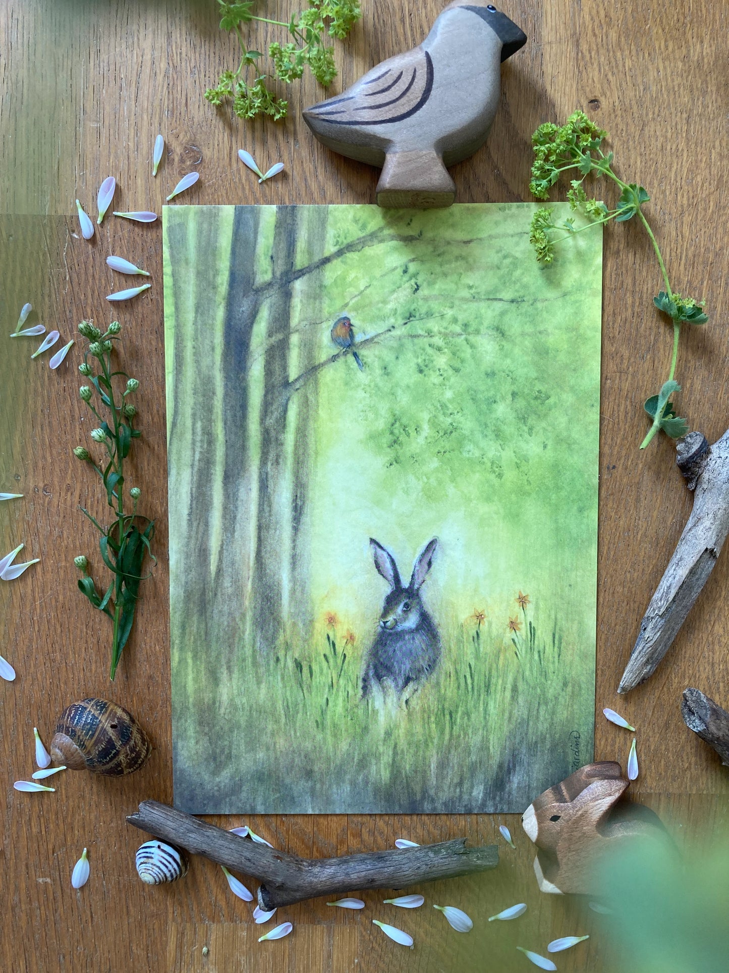 Kunstkarten Set Tiere (4 Postkarten A5)