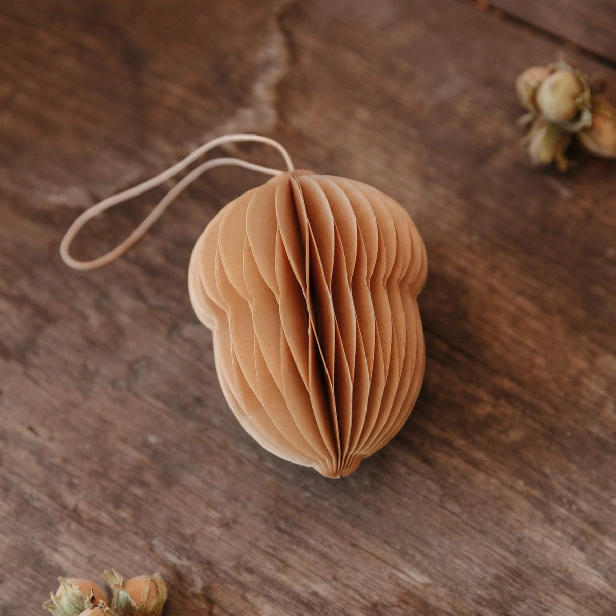 Papieranhänger Eichel - hellbraun - groß