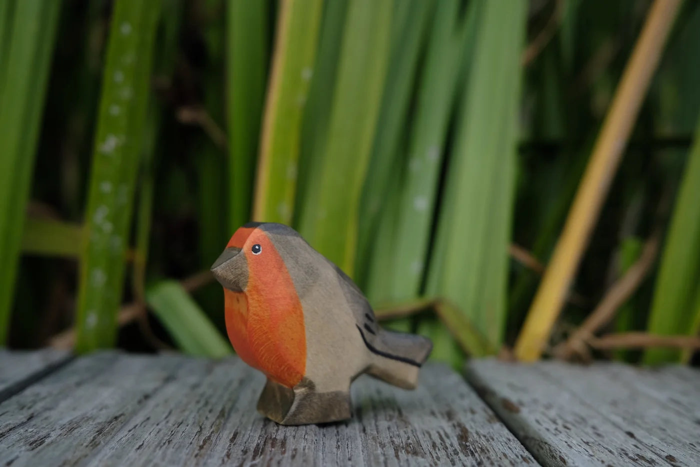 HolzWald Rotkehlchen