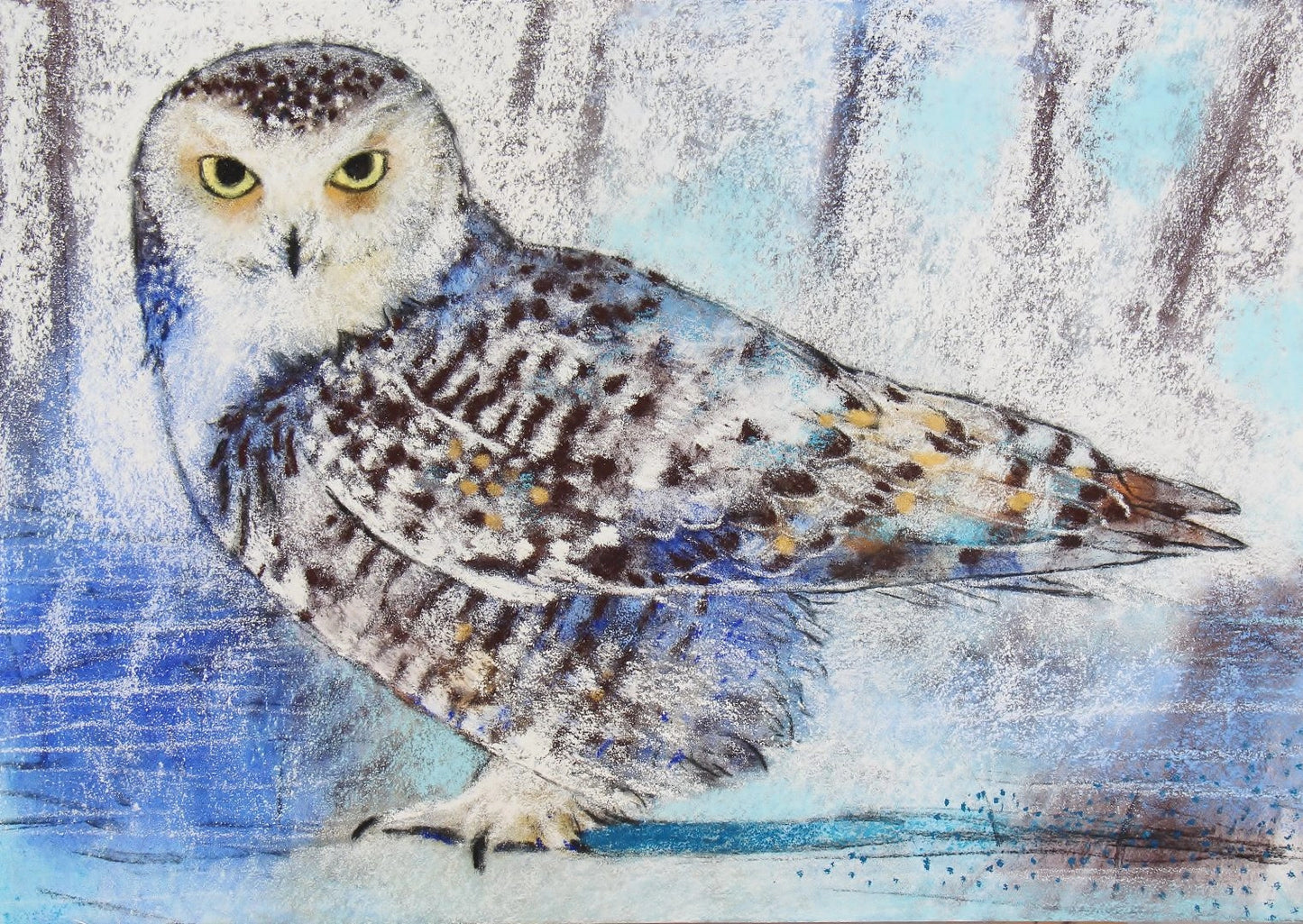 Schnee-Eule