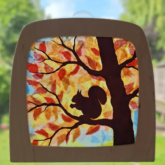 Toverlux DIY Transparent- Eichhörnchen