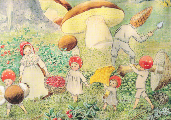 Wichtelkinder sammeln Pilze