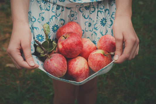 September: Die Erntezeit beginnt – Alles rund um Äpfel und unsere tollen Erntemotive