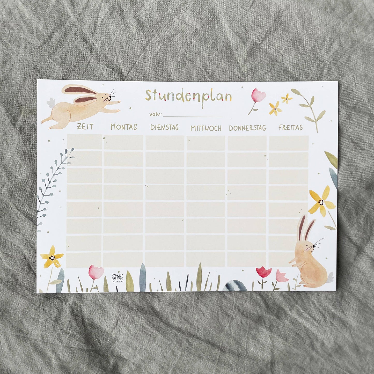 Stundenplan - Hase