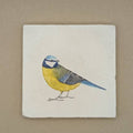 Fliese Blaumeise von moreydesign 10 x 10 cm