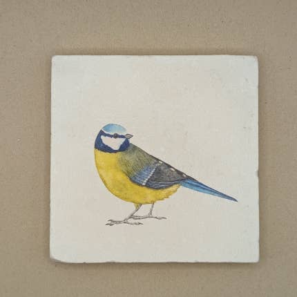 Fliese Blaumeise von moreydesign 10 x 10 cm