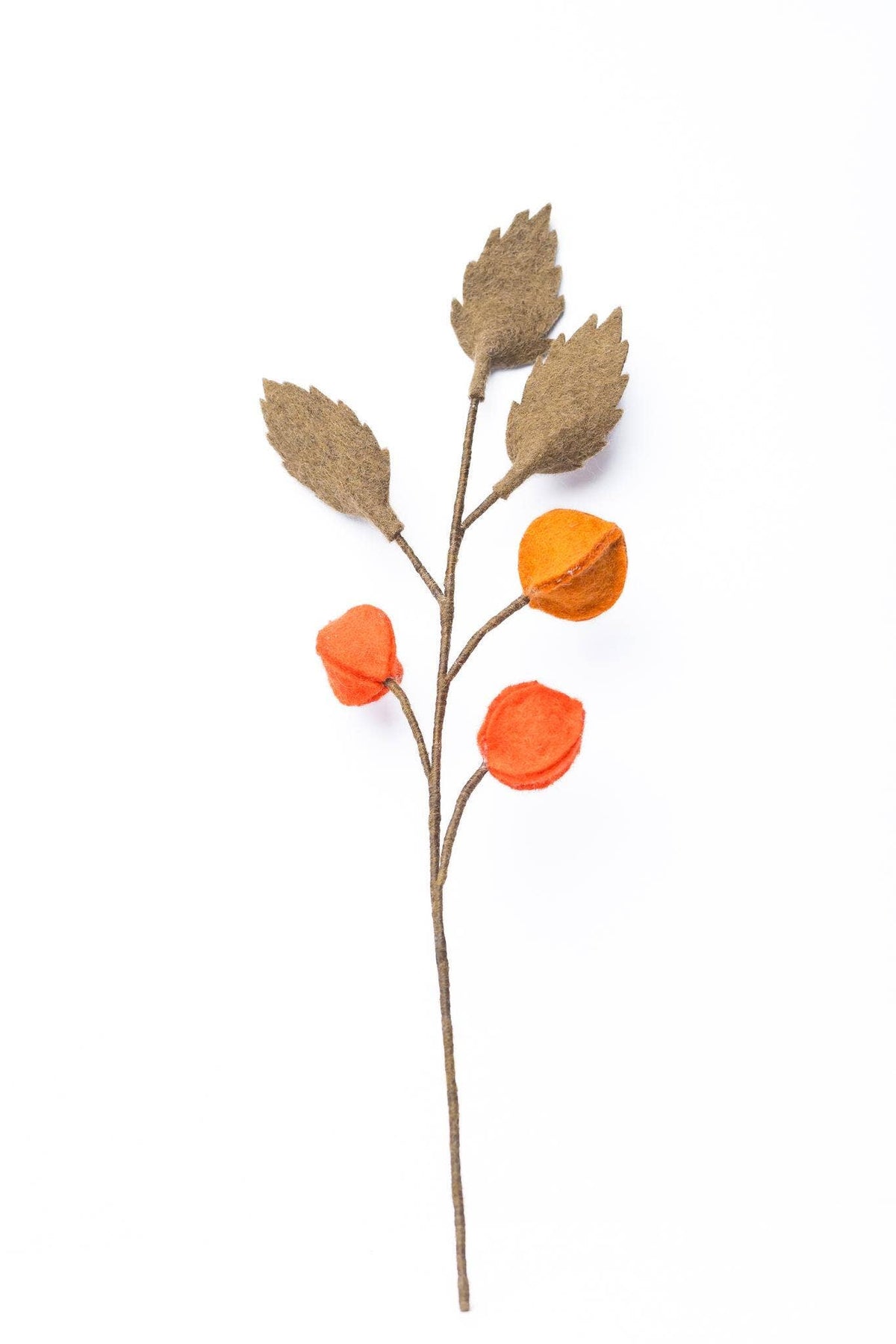 Filzzweig Physalis von Nacha Interior