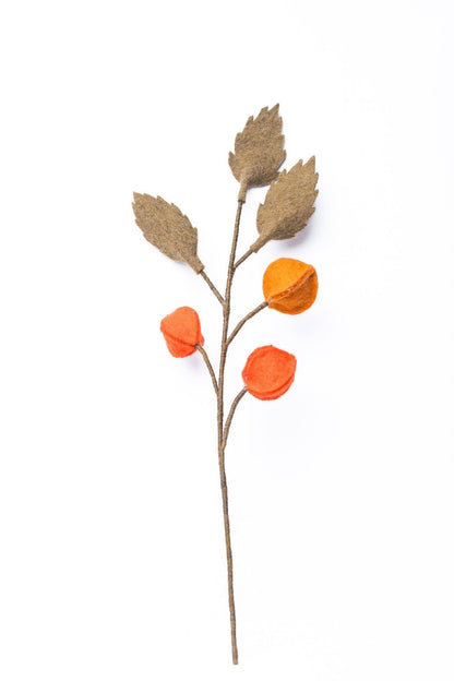 Filzdekoration - Physalis Beerenzweig