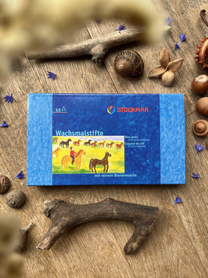 Stockmar 12 Stifte im Kartonetui