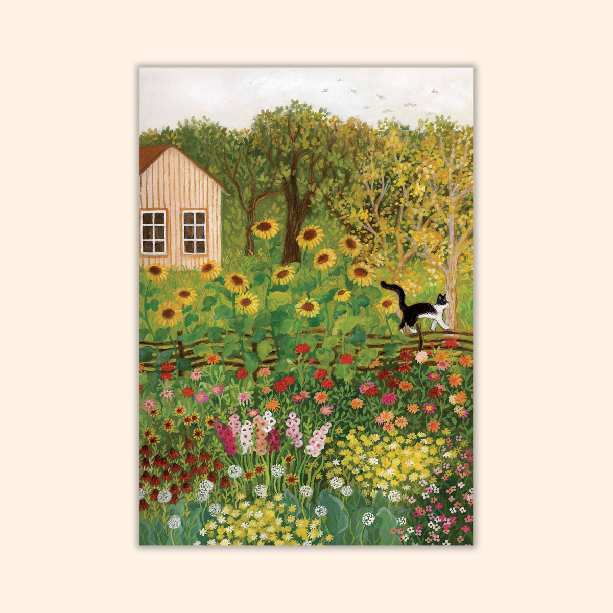 Augusttage A6