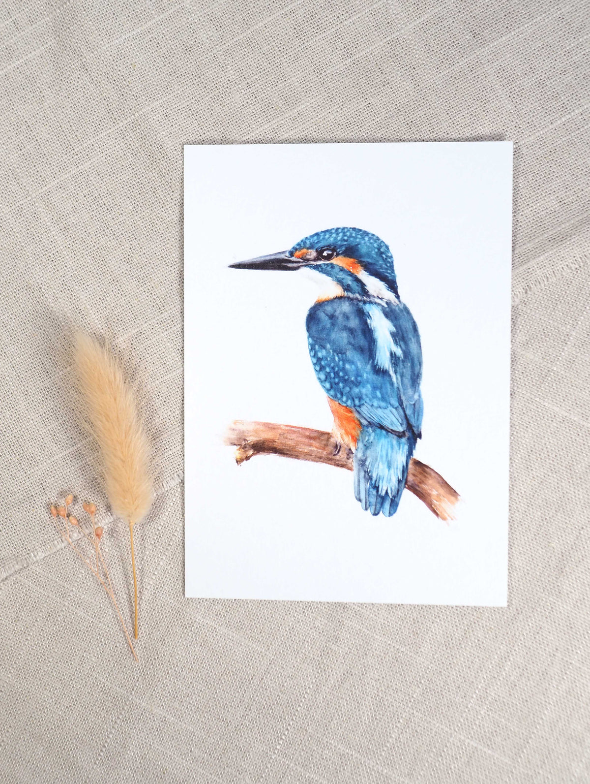 Eisvogel A6