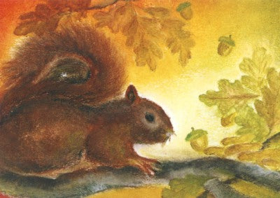 Postkarte Eichhörnchen auf dem Ast von Baukje Exler A6, Eichhörnchen auf einem Eichenast mit Eicheln und Herbstlaub